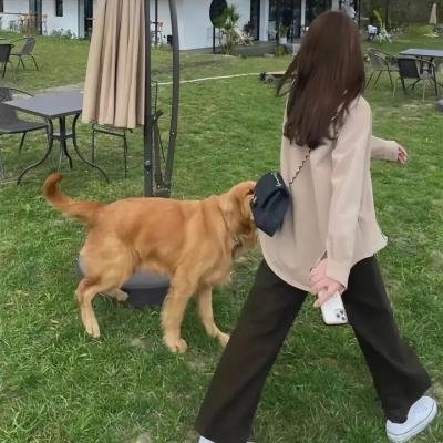 渴望激情